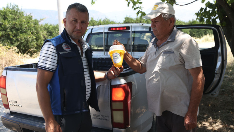 Büyükşehir Feromon Tuzaklarla Zararlıya Karşı Doğal Mücadele Başlattı