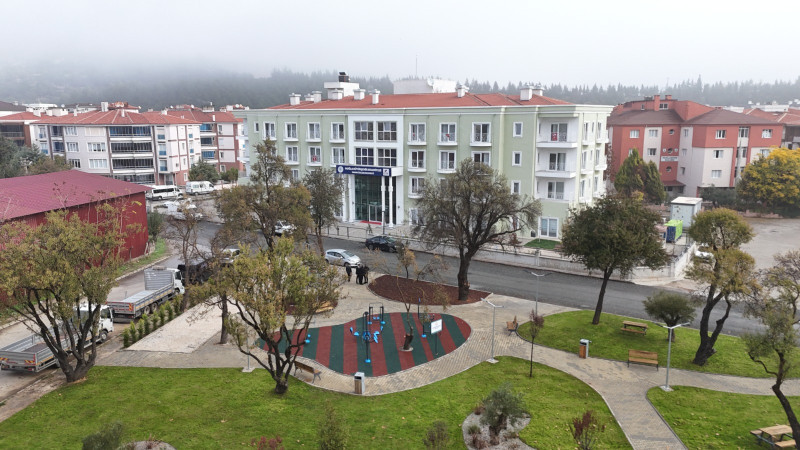 Muğla’da Yaş Almış Çınarlara Yeni Bir Yuva: Başvurular Başladı