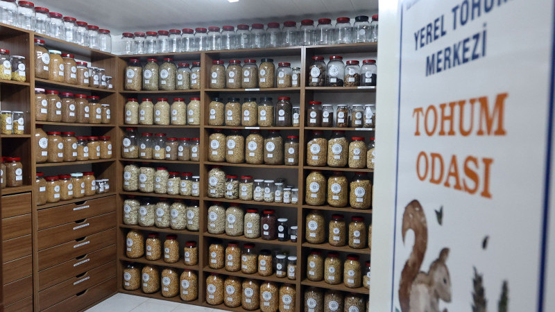 Büyükşehir Yerel Tohum Merkezi’nden 81 İle 22 Milyon Yerel Tohum Desteği