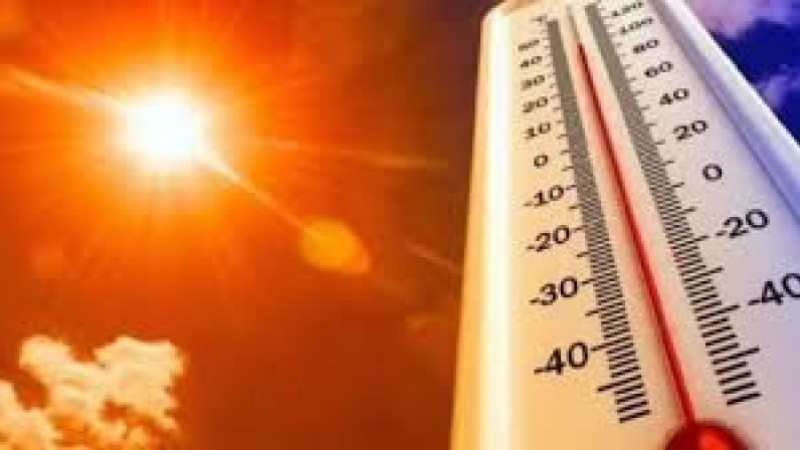  Bodrum'da Sıcaklıklar Mevsim Normallerinin Üzerine Çıkacak!