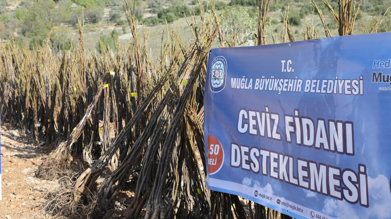 Büyükşehirden Her Kapıda Bir Fidan Projesi