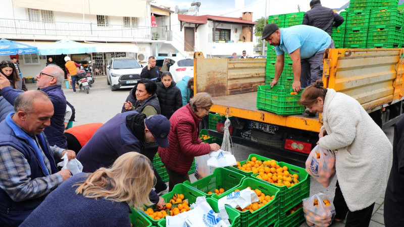 Bodrum Mandalin Festivaline Yoğun İlgi