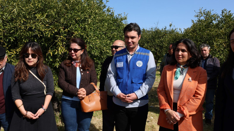 Bodrum’da Ağaç Budama Eğitimi Düzenlendi