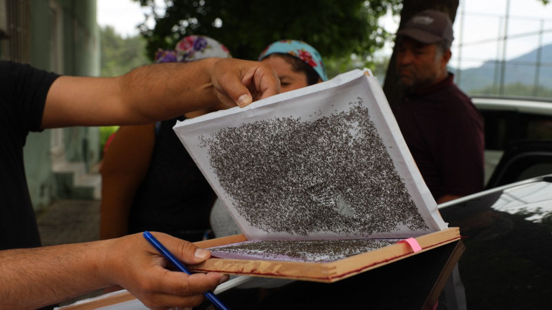 Muğla’da İpekböceği Dağıtım Töreni Gerçekleştirildi
