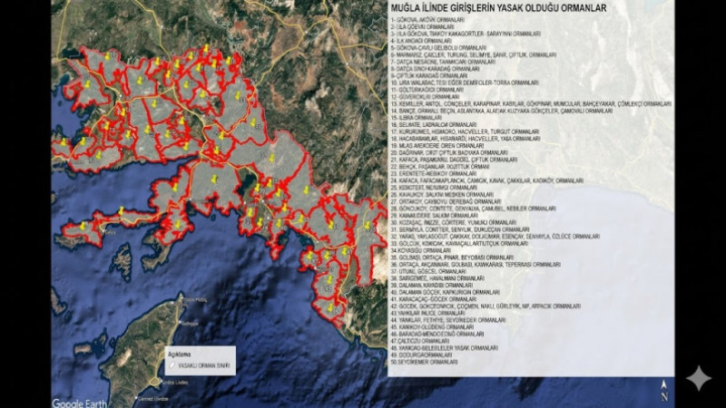 Muğla'da Koruma Kalkanı: 50 Ormanlık Alana Giriş Tamamen Yasaklandı!