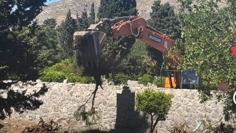 Bodrum Gümüşlük’te Mandalina Bahçeleri İçin 