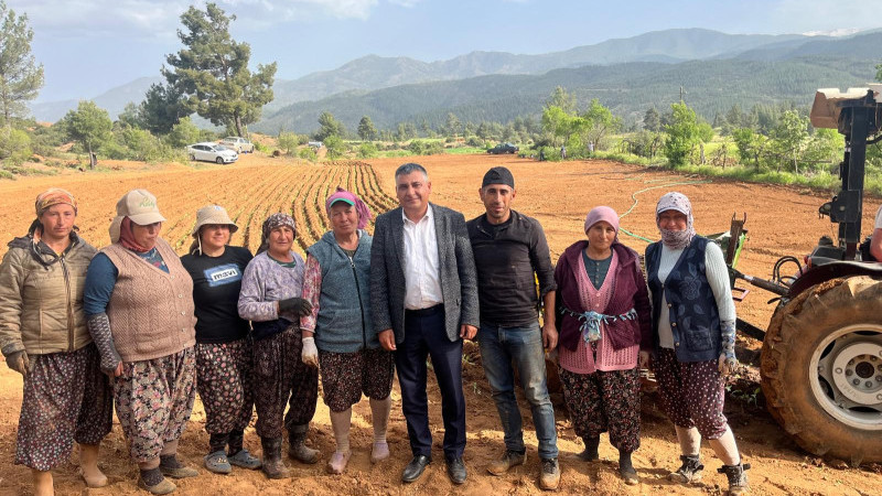 BBP Muğla İl Başkanı Bozkurt Üreticilerle Tarlaya İndi