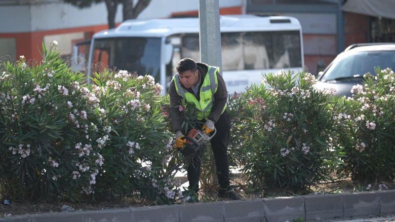 Bodrum’da Ot Temizliği Çalışmaları Tüm Hızıyla Devam Ediyor