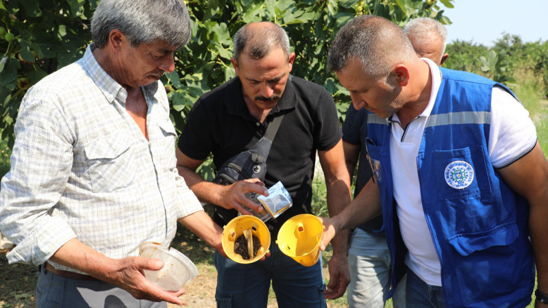 Muğla’da Üreticinin Emeğine Çevre Dostu Koruma