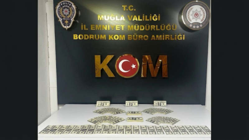 Bodrum’da Sahte Dolar Operasyonu: 46 Bin 200 Dolar Ele Geçirildi, 1 Şüpheli Tutuklandı